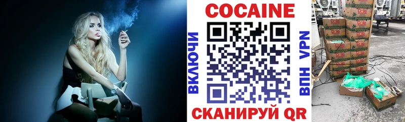 где найти наркотики  Ливны  нарко площадка официальный сайт  COCAIN FishScale 