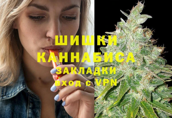 СК Коряжма