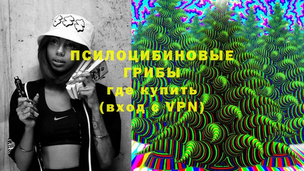 таблы Козловка