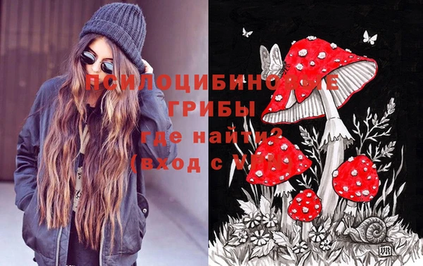 СК Коряжма