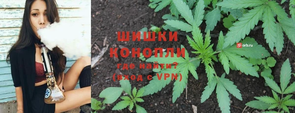 СК Коряжма