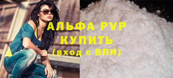 СК Коряжма