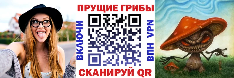 Псилоцибиновые грибы прущие грибы  Ливны 