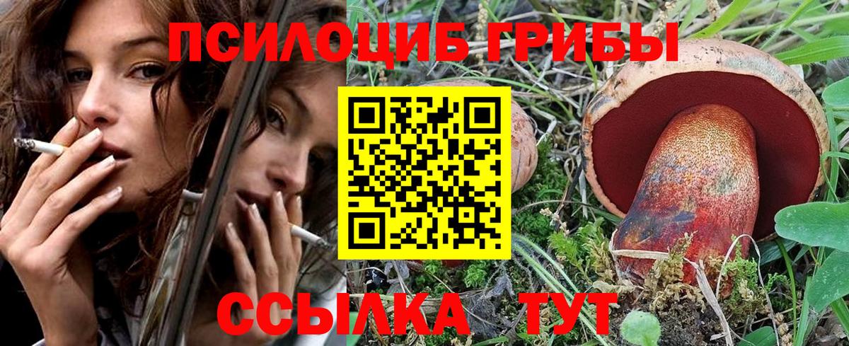 Псилоцибиновые грибы Magic Shrooms  Вход с VPN  купить наркотик  Ливны 